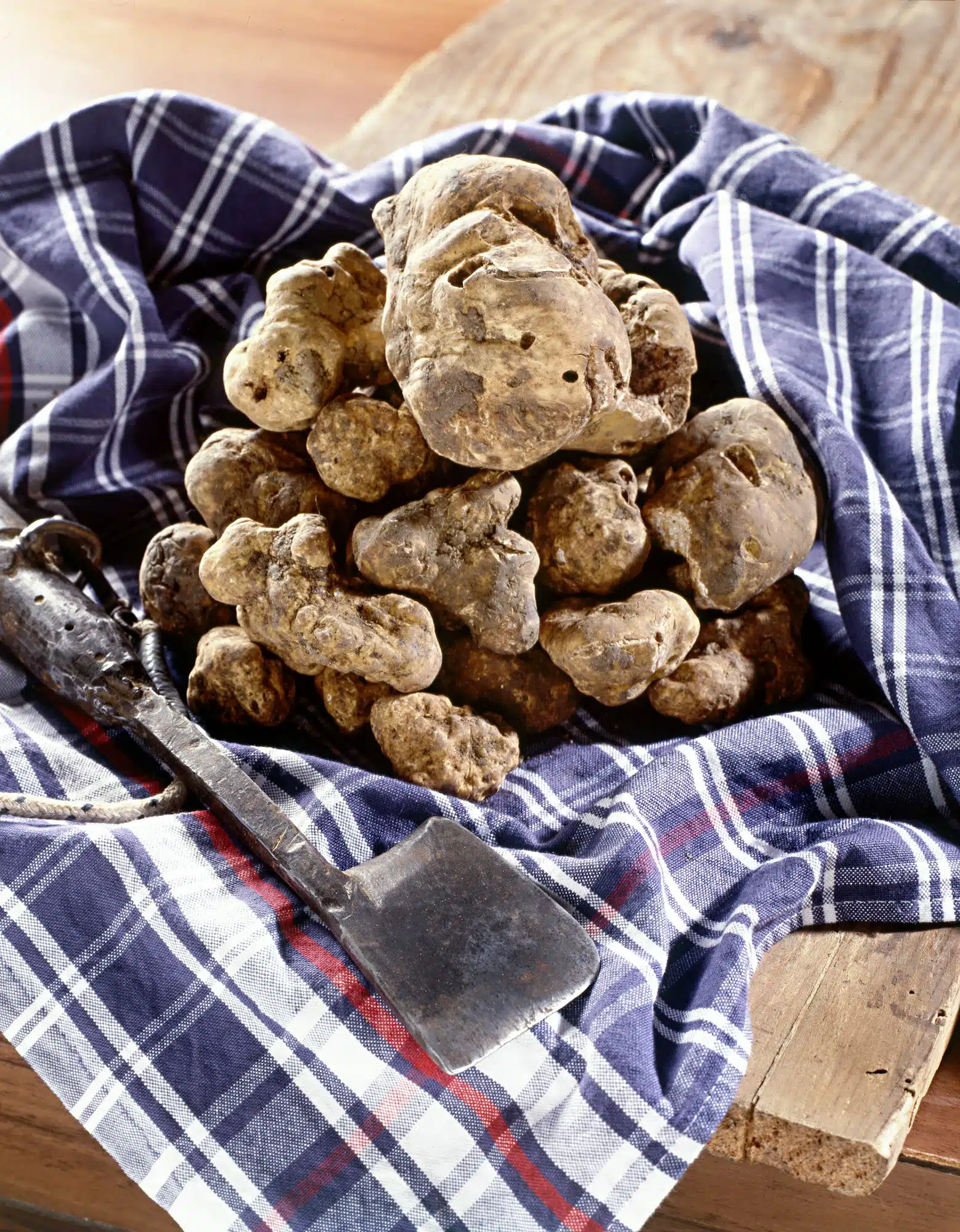 Comment bien cuire la truffe blanche ?
